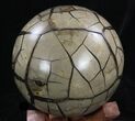 Polished Septarian Puzzle Geode - Black Crystals #33729-2